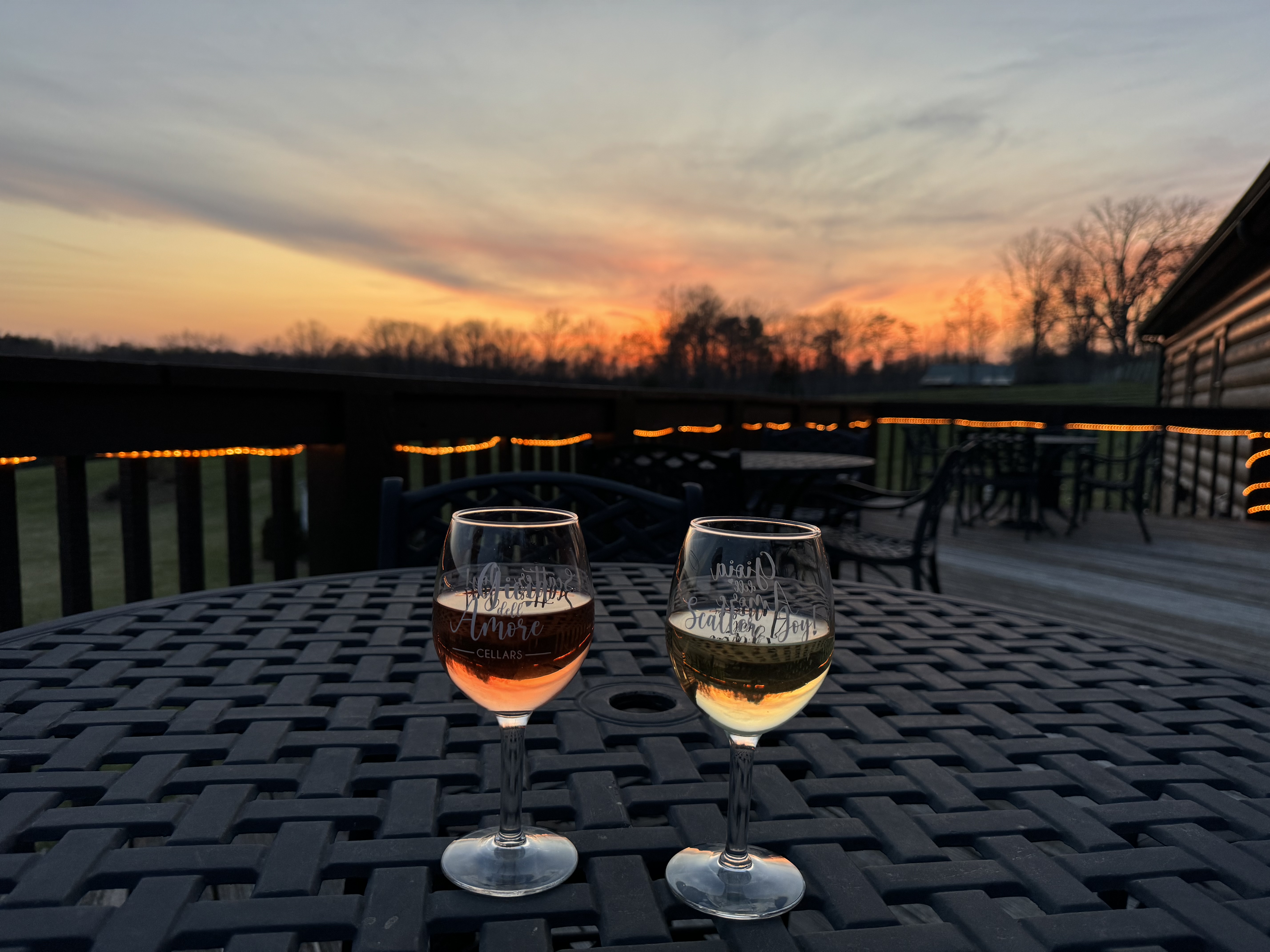 Gioia dell'Amore Cellars vineyard view